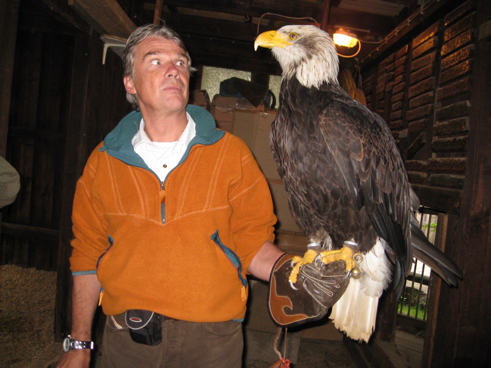 Greifvogelfarm Hellenthal